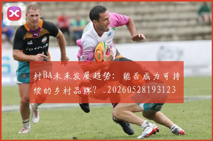 村BA未来发展趋势:能否成为可持续的乡村品牌?_20260528193123